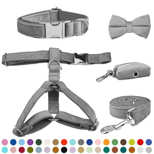  n[lX  [hZbg { R[fC Pi`5_Zbg^XS`XL : lN^Ct 킢  }i[|[` O ^b`obN l[^O  dbԍ