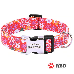     ԕvg S M Lyz7̃t[ y y D ^b`obN 킢 l[^O z ɂȂ qD O l[  ^