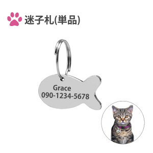 qDiPijD l[^O 킢   dbԍ  I[_[Ch 2`4TԌ㔭\yz