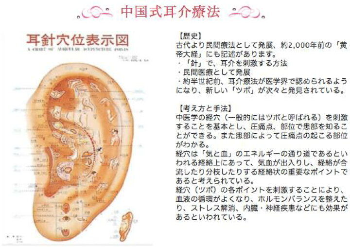 楽天市場 耳つぼ 耳模型 練習用 イヤーマネキン 耳ツボジュエリー 業務用 施術用 フランス製 プロ仕様 講師用 耳つぼジュエリー楽天市場店