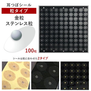 ڃV[E^CvXeX/i100jɍ킹đIׂV[