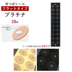 ڃV[Etbgv`iydzi20jɍ킹đIׂV[