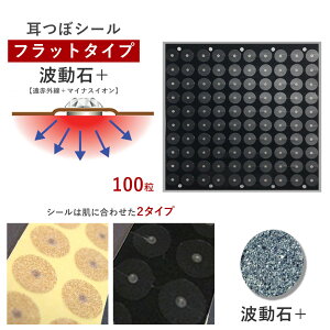 ڃV[Etbg g΁yԊO+}CiXCIzi100jɍ킹đIׂV[