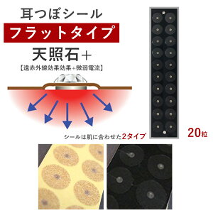 ڃV[Etbg^Cv@YiVƐ+jyd+ԁzi20jɍ킹đIׂV[