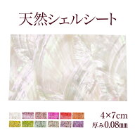 【廃盤予定】裏がシールになっていて使いやすい天然貝のシェルシート！