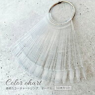 【ゆうパケット対象商品】 カラーチャート　カラージェル　カラー見本　取り外し可能　透明カラーチャー…