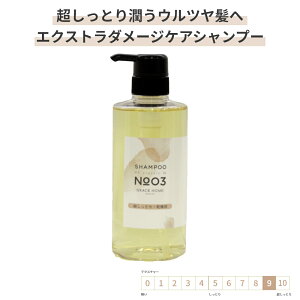 Tꔄ GNXg_[WPA Vv[ [GRACE HOME BEAUTY No.03] 500ml u[`тȂ ێ  nC_[WPA u[`  d _[W