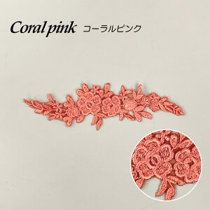 Iׂ4J[ hJ[X p[c P~J[X 10or30Zbg u[ y[IW sN R[sN  ԃ`[t nhCh |ޗ wbhhX EFfBOhX 