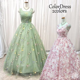【NEW】【ネックレスプレゼント】カラードレス ウェディングドレス パーティドレス プリンセスライン(7号9号11号13号15号/S-M-L-LL-3L-4L/サイズ/グリーン/ピンク)演奏会用ドレス 舞台衣装 ステージ衣装 二次会 花嫁衣裳 前撮り 後撮り パーティ フォト(cd80049color-t)