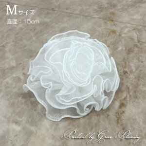 t[`[twbhhXiS M L) RT[W  EGfBOwbhhX(ItzCg ) grace IWi uC_ANZT[  񎟉 I ԉ Cxg X