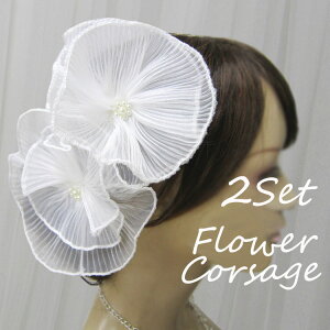 EFfBO wbhhX  zCg 4Zbg   uC_ l  EGfBOhX a U   Xe[W \ t wAANZT[  RT[W(