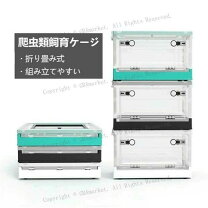 楽天市場】グッドロック ケージ 爬虫類の通販