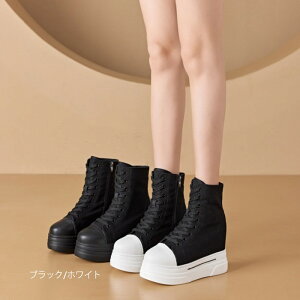 Xj[J[ fB[X ҂ݏグ^Cv V[Y JWA EH[LOV[Y ubN  킢 傫TCY ₷ s ʋ ʊw lC C  Vv n 