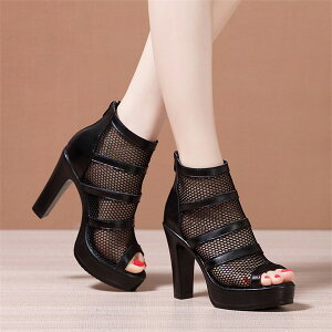 u[cT_ T_ fB[X bV I[vgD T}[u[c V[gu[c  nCq[ sq[ r 傫TCY    V[X[  