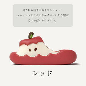 Xbp 񂲃fUC  T_ jp fB[X Y y  ~ qp [V[Y  H 23-27.5cm mh001ldldlc