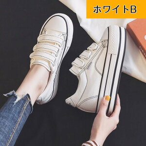 Xj[J[ YbNC  Cq[ EFbWq[ C\[ }WbNe[v TCY V[Y fB[X C r  Xj[J[ 킢   JWA 