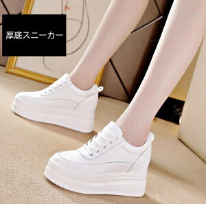 Xj[J[  Cq[ EFbWq[ C\[ bV X|[eB V[Y fB[X C r  Xj[J[ 킢   JWA ₷ 