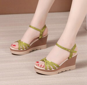 EFbW\[ T_  EGbW\[ T_ fB[X Ƃ q[T_ ANXgbv XgCvT_ 傫TCY TCY Sn悢 