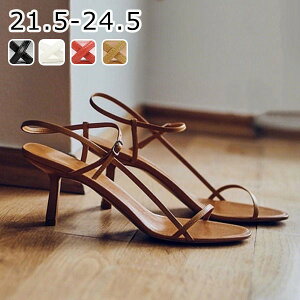 ؚXgbvT_ sq[ [q[ T_ fB[X Ƃ q[T_ ANXgbv  xg C  l r V[Y TCY ubN zC