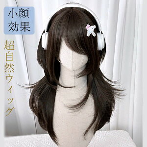 EBbO  킢  i g [^ lolitat@bVwig R ×pEBbO  fB[X RXvOR ×p t[TCY