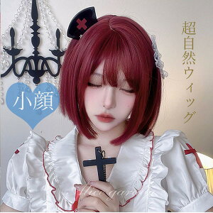 EBbO @킢  i g [^ lolitat@bVwig R ×pEBbO Cbh  fB[X RXvOR ×p t[TCY