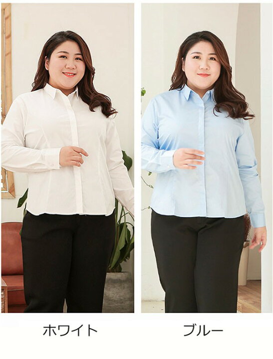 新品 17号 グラマーさん 白 形状安定 長袖 シャツ ブラウス ベストスーツ 事務服 就活 面接 リクルートスーツ レディース ネコポス便 355 期間限定お試し価格 新品 17号 グラマーさん 白 形状安定 長袖 シャツ ブラウス ベストスーツ 事務服 就活 面接 リクルートスーツ レディース ネコポス便 355 期間限定お試し価格