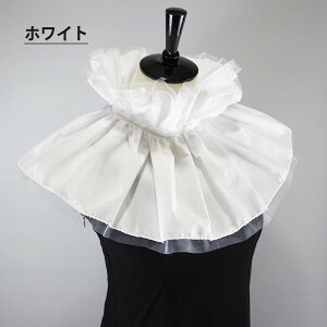 t tJ[ [bp M   Ђ btJ[ sGJ[ t  jp Y fB[X jp p RX`[ RXv   