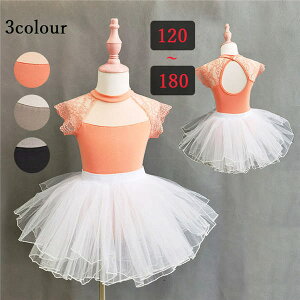 q oGI^[h ߑ _X o qoG qpߑ oG\ I^[h ̎q _X XJ[g K 120/130/140/150/160/170/180 sN ubN O[ dm048x2x2jc