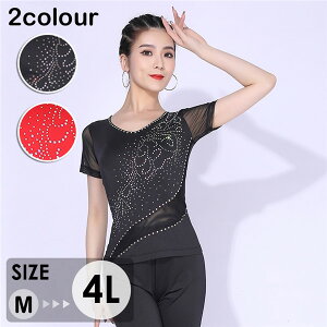 Ќ_X gbvX  ߑ  Cbh ubN 㒅 Z _ e fB[X Ќ K c ``` Xe[W odm131x2x2jc