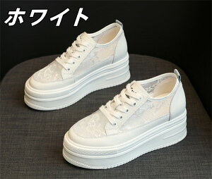 bVV[Y V ؍ ʋC  _bhXj[J[ fB[X r   JWA