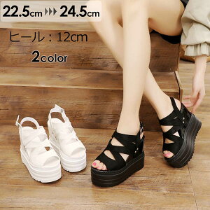 u[cT_ EFbW\[ OfBG[^[ Xgbv V[Y fB[X  T_  Vv  H ₷ y JWA ؍ ubN zCg ei056z7z7jc