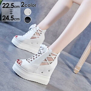 T_  T_  T}[u[c I[vgD u[cT_ r ZNV[ EFbW\[ EGbW\[ u[eB u[T [XAbv ҂ݏグ OfBG[^[T