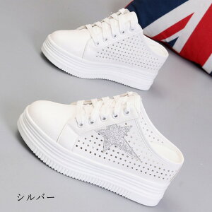 Xj[J[ T_ fB[X  ʋC   bV V[X[  tbg q[8cm ubN zCg i T{T_ Xj[J[T_ E₷ V[