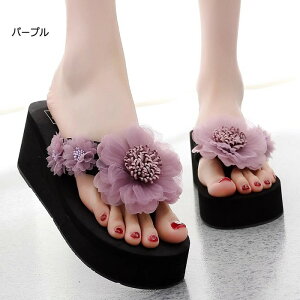 T_ fB[X gOT_ r[`T_  T_ RT[Wt EFbW\[ ƂȂ 傫TCY TCY i JWA 킢  C v[