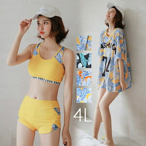 傫TCY  ̌^Jo[ fB[X ۂ bVK[h 3_Zbg   ^Lj Zp[g  t ݂Ȑ pbht K Jo[ Igiq V