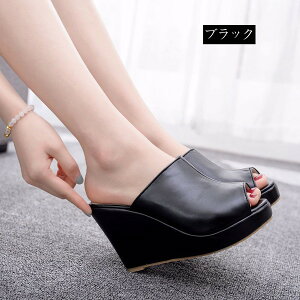 T_ fB[X W[gEGbW\[ T{ T_ t T_ nCq[ Xg[ T_ nCq[ Sn悢 di070zuzulc