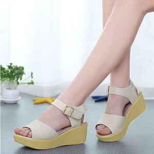 T_ fB[X  EFbW\[ RtH[gT_ 傫TCY26.0 q[T_ nCq[ TCY21.5 q[6.5 Sn悢  EFbW T_ r 