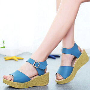 T_ fB[X  EFbW\[ RtH[gT_ 傫TCY26.0 q[T_ nCq[ TCY21.5 q[6.5 Sn悢  EFbW T_ r 