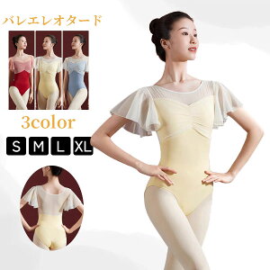 oGI^[h o lp oGpI^[h oGߑ Kߑ op P _X bX  ؍  t l  oGߑ V̑ bX Xe[Wdm589c0c0jc