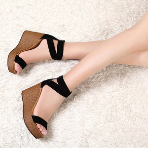 21.0cm EGbW\[ T_ fB[X s ItBX  t@bV  r  t C v[ r[` ubN E₷₷ Ɗ̂LCȃT