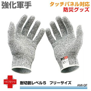 ϐؑn x5 hn R Ɨp ϐؑn X}zΉ hnO[u n ^b`plΉ R t[TCY AMI-GF [(lR|X)