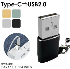 タイプC 変換アダプター iphone Type-C usb to type-c 便利 コンパクト 小型 変換 アダプタ 在宅 テレワーク 車内テレワーク 落下 紛失 防止 TypeC-USB 変換アダプター Bタイプ ストラップ付き 全4色 CE-TCUSB2 ネコポス