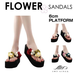 T_ fB[X  6cm  C ][g  킢 ؂ tbg C V[Y r[`T_ gOT_ t[T_ 6cm S3^Cv×6TCY FS-FS588 