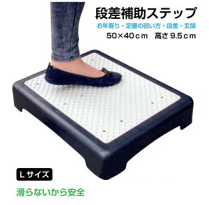 i⏕Xebv yLTCY 50x40x9.5cmz CZ-STP-L |   Xebv ݑ i AVXg ⏕ ~ N  q qǂ a@  Ki   ֗ObY オy  