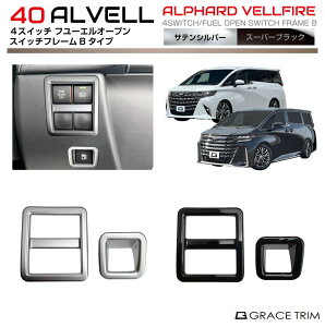 g^ 40n V^ At@[h Ft@CA 4XCb` t[GI[vXCb`t[ yB^Cvz 2pcs S2F AV40-IN-F20 | CeA XCb` pl K[jbV Jo[ p[c C