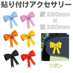 J[ANZT[ { LTCY PVC S6J[ CZ-CD06 |   J[fR[V XebJ[ fJ[ V[ fR  Aei 킢  ~jJ[ y ~jo y