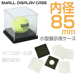 ejX{[̓WɍœKȃV[P[X CZ-SBC02 | TC{[P[X TC{[ P[X ejX fBXvCP[X AN tennis {[ {[P[X LO TC ۊ ۑ W 