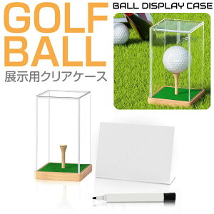 St{[̓WɍœKȃV[P[X CZ-SBC03 | St GOLF StRy Ry ii fBXvCP[X AN TC{[P[X TC{[ P[X {[ {[P[X LO 