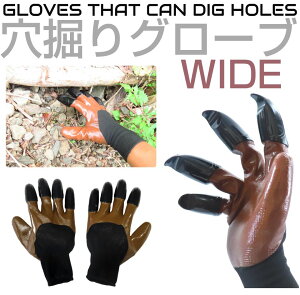 K[fO[u O[u @O[u @ ܕt |p  |pi ܕt  Ǝ @p O̎O[u ChTCY uE F21622 Ɨp n E