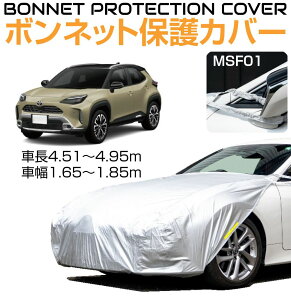 ėp {lbgیJo[yZ_ESUV NXzCZ-MSF01 | {fB[Jo[ {lbgJo[ tgJo[  {lbg N} Jo[  ԃJo[ ԃJo[ J[Jo[ h h